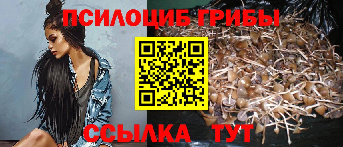 Муром  Галлюциногенные грибы MAGIC MUSHROOMS  Вход с VPN 